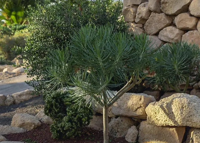 Luxury Amarilla Golf וילה