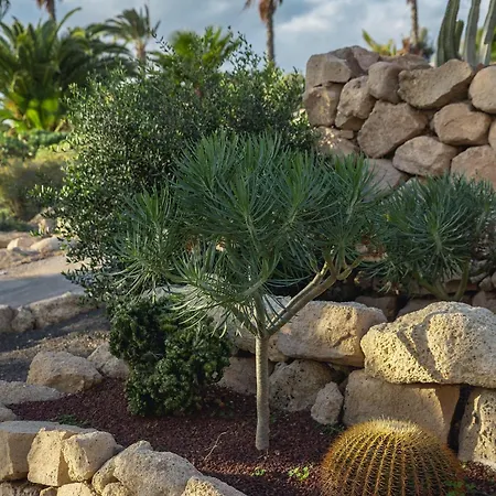 Luxury Amarilla Golf Villa