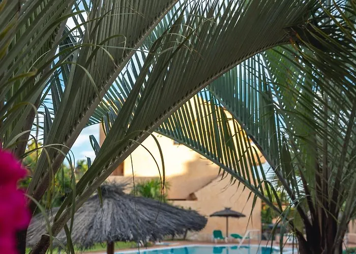 Luxury Amarilla Golf 别墅 圣米格尔德阿沃纳